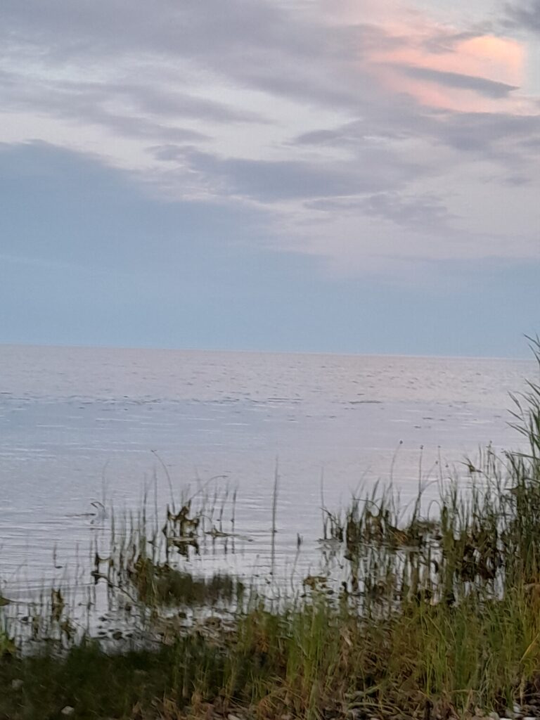 2022 saaremaa (83) 2022 saaremaa (83)